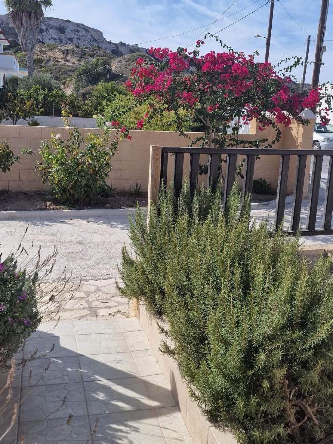 Aelia House Kefalos - Cozy & Quiet Εξωτερικό φωτογραφία