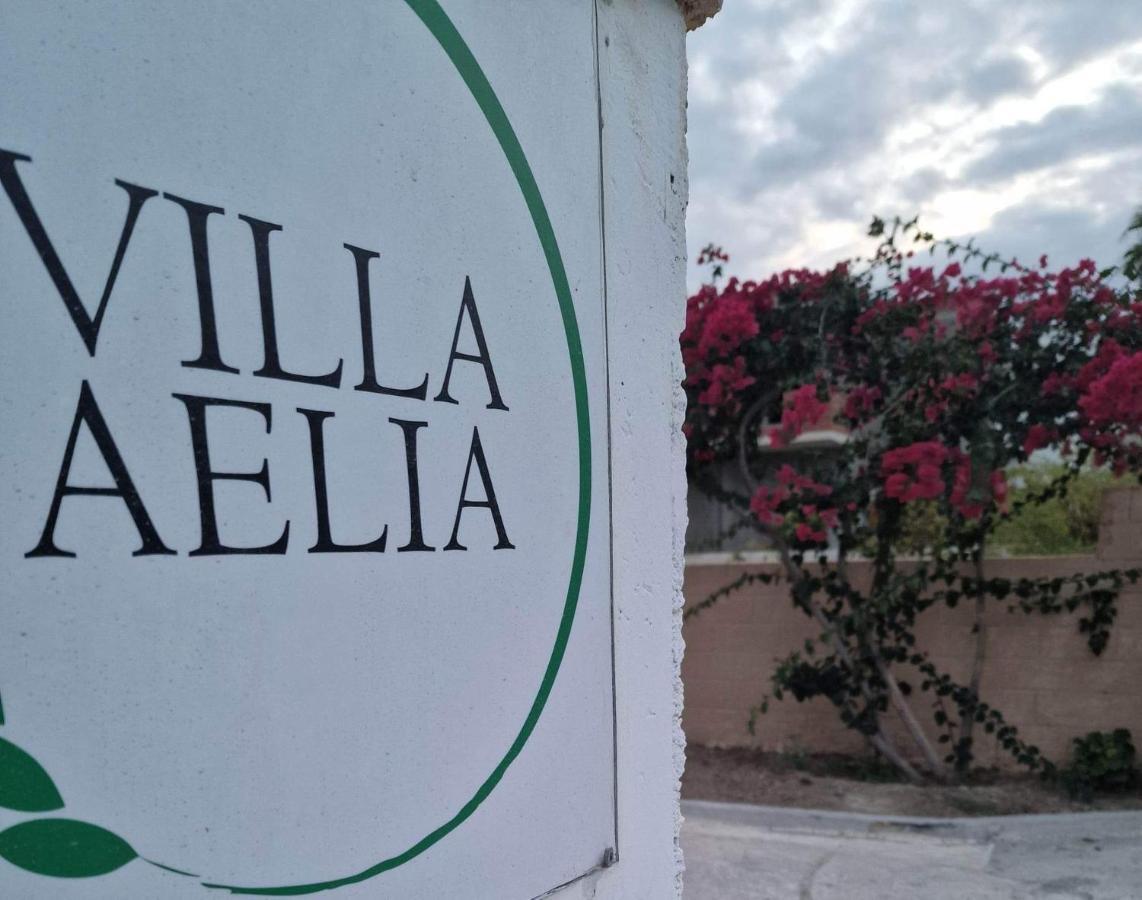 Aelia House Kefalos - Cozy & Quiet Εξωτερικό φωτογραφία